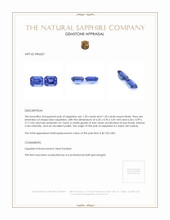 2.40&nbsp;Ct.Tw.Total Carat Weight Blue Sapphire Pair from Ceylon (Sri Lanka) Appraisal