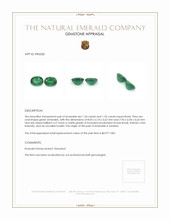 2.69 Ct.Tw.Total Carat Weight Emerald Pair from Zambia Appraisal