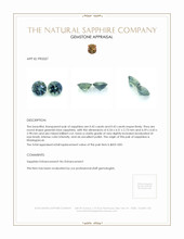 0.85 Ct.Tw.Total Carat Weight Greenish Blue Sapphire Pair from Madagascar Appraisal