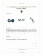 0.75 Ct.Tw.Total Carat Weight Greenish Blue Sapphire Pair from Madagascar Appraisal