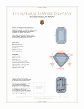 21.21&nbsp;Ct.Tw.Total Carat Weight Blue Sapphire Pair from Ceylon (Sri Lanka) 3 D Scan Report