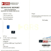 18.35&nbsp;Ct.Tw.Total Carat Weight Blue Sapphire Pair from Ceylon (Sri Lanka) Scan Report