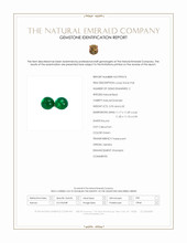 Jewelry Scan Report