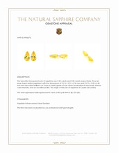 4.11 Ct.Tw.Total Carat Weight Yellow Sapphire Pair from Ceylon (Sri Lanka) Appraisal