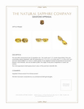 Jewelry Appraisal