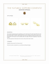 4.40 Ct.Tw.Total Carat Weight Yellow Sapphire Pair from Ceylon (Sri Lanka) Appraisal