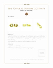 3.08 Ct.Tw.Total Carat Weight Greenish Yellow Sapphire Pair from Ceylon (Sri Lanka) Appraisal