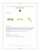 3.08 Ct.Tw.Total Carat Weight Greenish Yellow Sapphire Pair from Ceylon (Sri Lanka) Appraisal