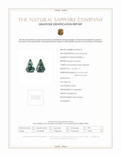 Jewelry Scan Report