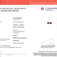 Jewelry Scan Report