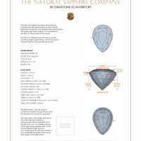 2.86 Ct.Tw.Total Carat Weight Blue Sapphire Pair from Ceylon (Sri Lanka) 3 D Scan Report