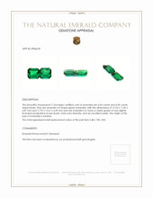 12.60 Ct.Tw.Total Carat Weight Emerald Pair from Zambia Appraisal
