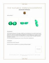 10.53 Ct.Tw.Total Carat Weight Emerald Pair from Colombia Appraisal