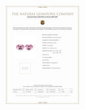 Jewelry Scan Report