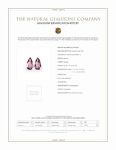 Jewelry Scan Report