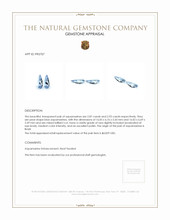 5.80&nbsp;Ct.Tw.Total Carat Weight Aquamarine Pair from Brazil Appraisal