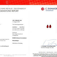 Jewelry Scan Report