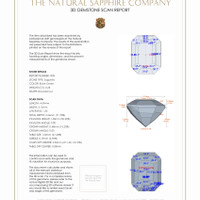 0.53 Ct.Tw.Total Carat Weight Bluish Green Sapphire Pair from Madagascar 3 D Scan Report