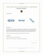 2.95&nbsp;Ct.Tw.Total Carat Weight Aquamarine Pair from Brazil Appraisal