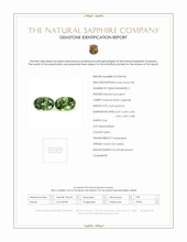 Jewelry Scan Report