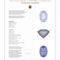 Jewelry 3 D Scan Report
