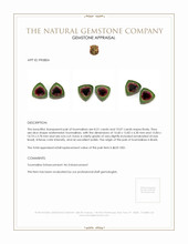 18.58 Ct.Tw.Total Carat Weight Tourmaline Pair from Brazil Appraisal