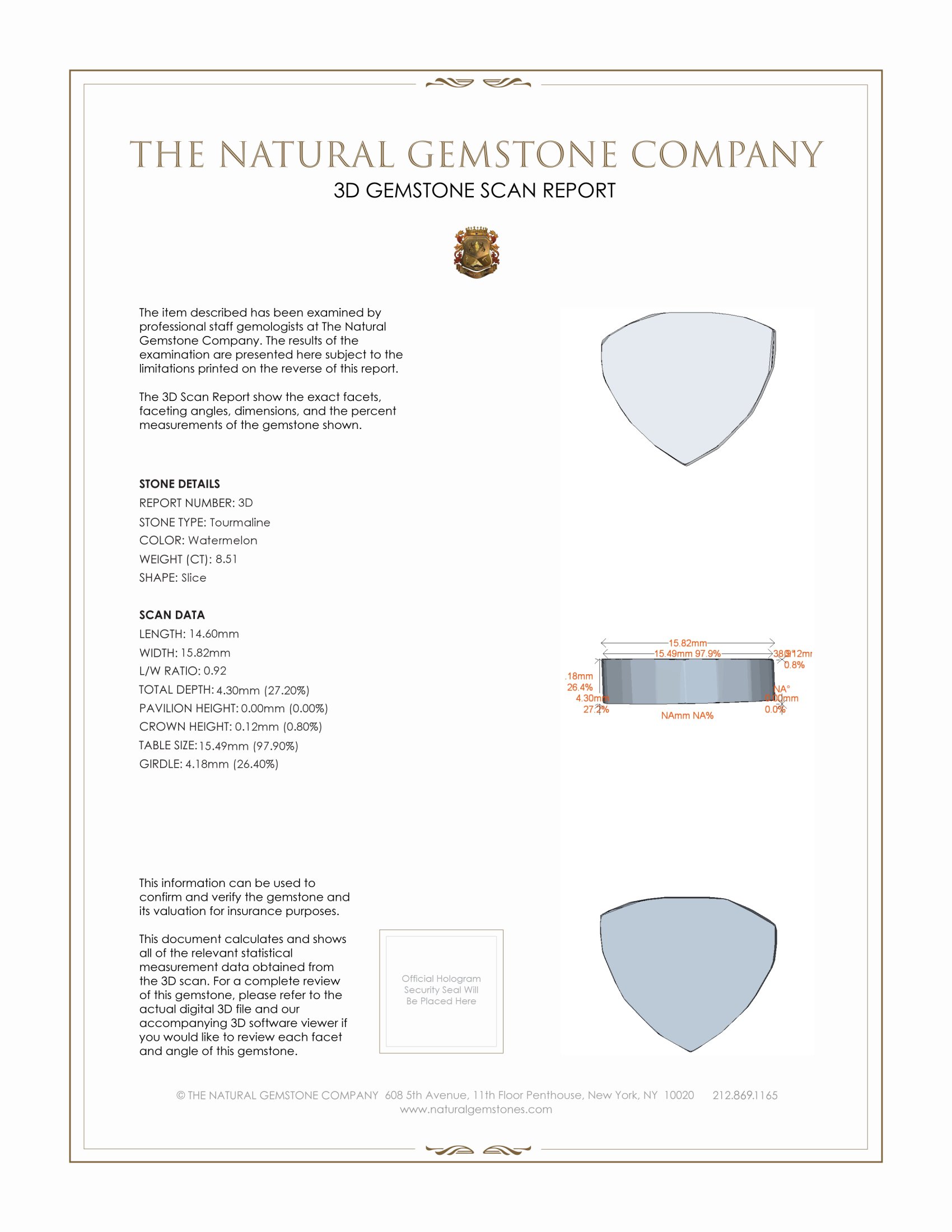 18.58 Ct.Tw. Tourmaline Pair from Brazil