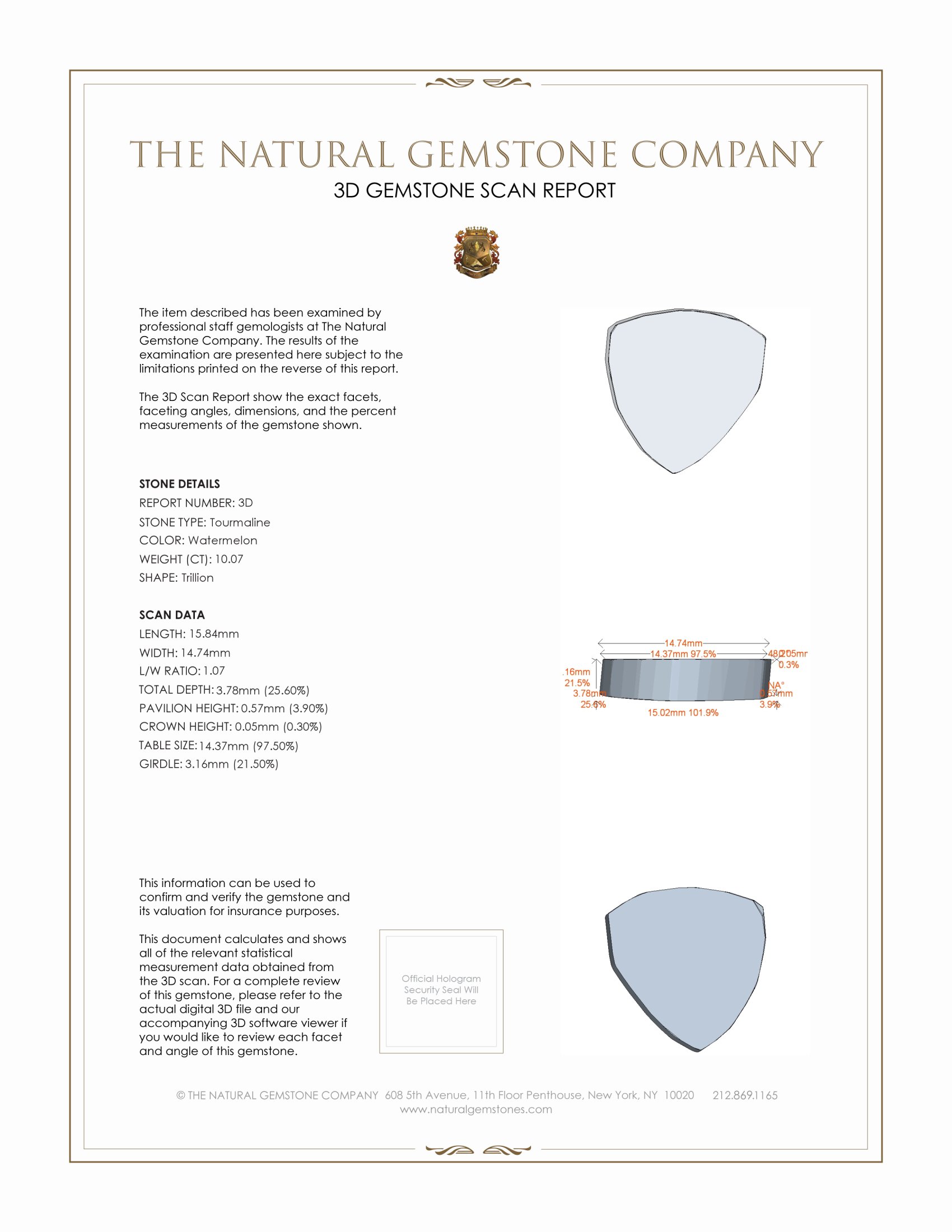 18.58 Ct.Tw. Tourmaline Pair from Brazil