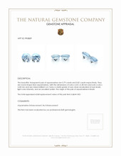 1.61 Ct.Tw.Total Carat Weight Aquamarine Pair from Brazil Appraisal