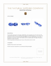 9.58 Ct.Tw.Total Carat Weight Blue Sapphire Pair from Ceylon (Sri Lanka) Appraisal