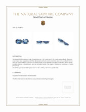 2.98&nbsp;Ct.Tw.Total Carat Weight Blue Sapphire Pair from Ceylon (Sri Lanka) Appraisal