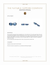 2.98 Ct.Tw.Total Carat Weight Blue Sapphire Pair from Ceylon (Sri Lanka) Appraisal