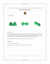0.38 Ct.Tw.Total Carat Weight Emerald Pair from Zambia Appraisal