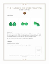 0.38 Ct.Tw.Total Carat Weight Emerald Pair from Zambia Appraisal