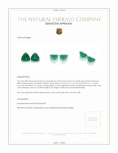 1.40 Ct.Tw.Total Carat Weight Emerald Pair from Brazil Appraisal