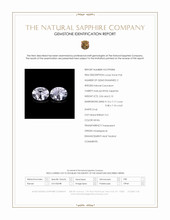 Jewelry Scan Report