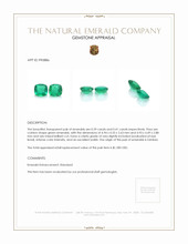 0.80 Ct.Tw.Total Carat Weight Emerald Pair from Zambia Appraisal
