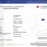 2.71&nbsp;Ct.Tw.Total Carat Weight Blue Sapphire Pair from Ceylon (Sri Lanka) Scan Report