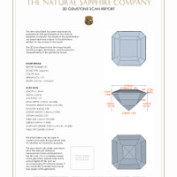 Jewelry 3 D Scan Report