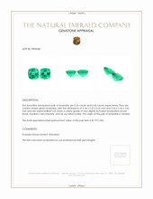 1.24 Ct.Tw.Total Carat Weight Emerald Pair from Zambia Appraisal