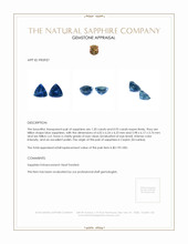 2.13 Ct.Tw.Total Carat Weight Blue Sapphire Pair from Ceylon (Sri Lanka) Appraisal