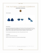 2.13 Ct.Tw.Total Carat Weight Blue Sapphire Pair from Ceylon (Sri Lanka) Appraisal