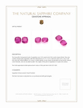 4.37 Ct.Tw.Total Carat Weight Pink Sapphire Pair from Ceylon (Sri Lanka) Appraisal