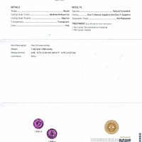 3.13&nbsp;Ct.Tw.Total Carat Weight Pink Sapphire Pair from Ceylon (Sri Lanka) Scan Report