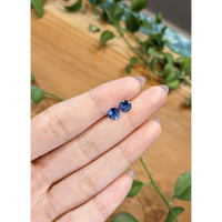 1.66&nbsp;Ct.Tw.Total Carat Weight Blue Sapphire Pair from Ceylon (Sri Lanka) Life Style