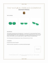 2.25 Ct.Tw.Total Carat Weight Emerald Pair from Brazil Appraisal