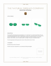 2.25 Ct.Tw.Total Carat Weight Emerald Pair from Brazil Appraisal