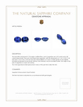 13.17 Ct.Tw.Total Carat Weight Blue Sapphire Pair from Ceylon (Sri Lanka) Appraisal