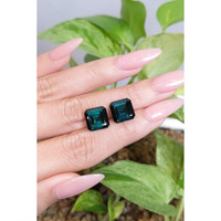 9.84 Ct.Tw.Total Carat Weight Tourmaline Pair from Brazil Life Style