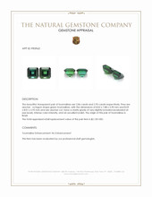 5.81 Ct.Tw.Total Carat Weight Green Tourmaline Pair from Brazil Appraisal